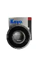 1.webp
