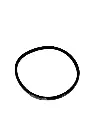 2.webp