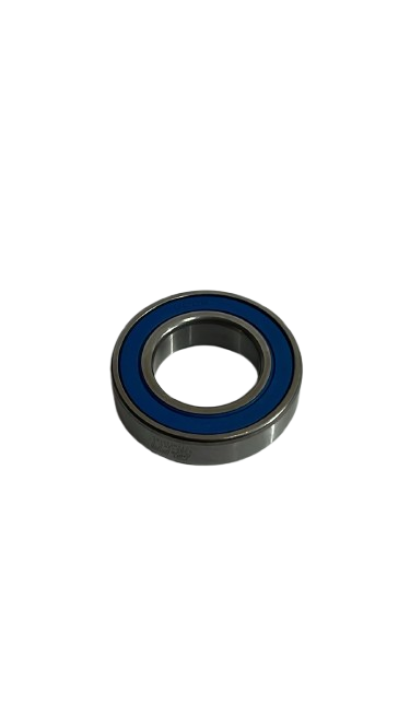 RODAMIENTO 60-06 PFI CKD90894